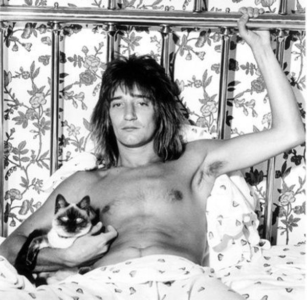 Rod Stewart Page